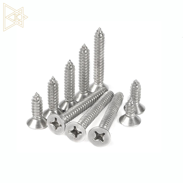 Stainless Steel Countersunk Phillips Head Screw